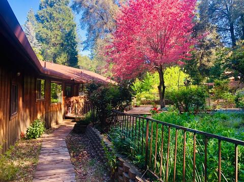 20214 S Cedar Ln, Pine Grove, CA 95665 photo 5