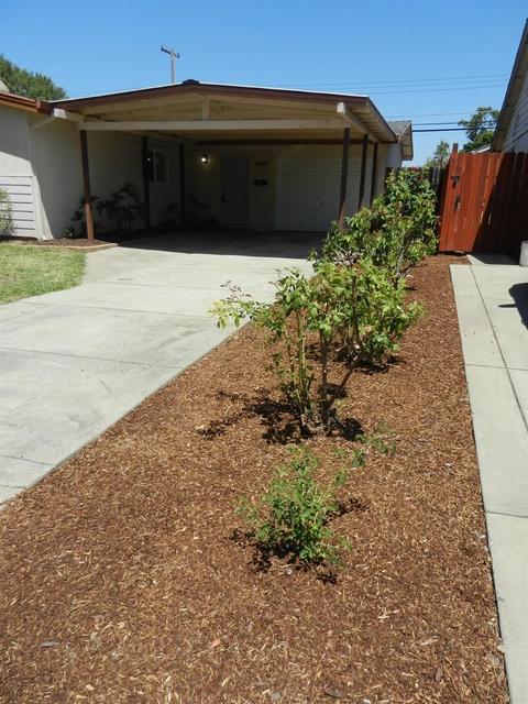 3343 U St, Antelope, CA 95843 photo 7