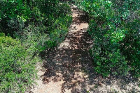 19651 Eagle Ridge Rd, Foresthill, CA 95631 photo 19