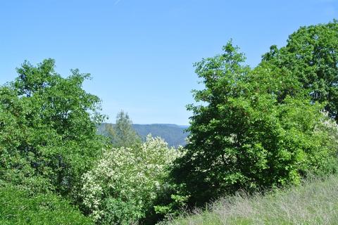 19651 Eagle Ridge Rd, Foresthill, CA 95631 photo 28
