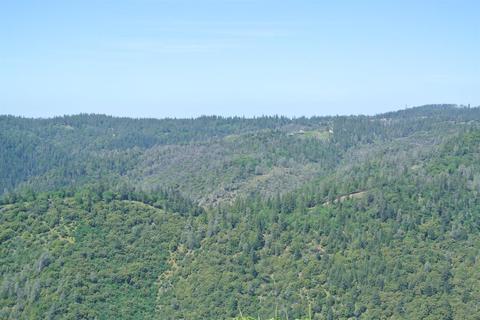 19651 Eagle Ridge Rd, Foresthill, CA 95631 photo 39