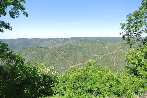 19651 Eagle Ridge Rd, Foresthill, CA 95631 photo 30