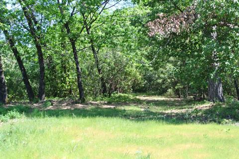 19651 Eagle Ridge Rd, Foresthill, CA 95631 photo 32