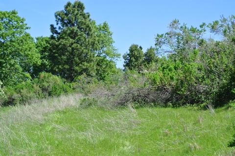 19651 Eagle Ridge Rd, Foresthill, CA 95631 photo 34