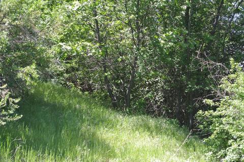 19651 Eagle Ridge Rd, Foresthill, CA 95631 photo 33
