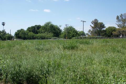 501 6th St, Isleton, CA 95641 photo 3
