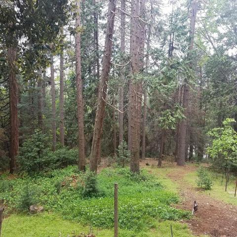 190 Alpine Cir, Colfax, CA 95713 photo 26