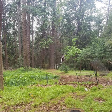 190 Alpine Cir, Colfax, CA 95713 photo 30