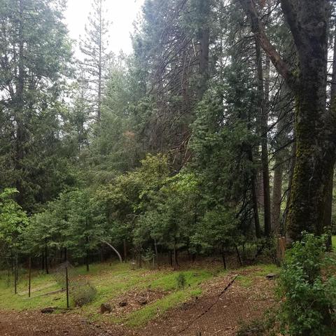 190 Alpine Cir, Colfax, CA 95713 photo 29