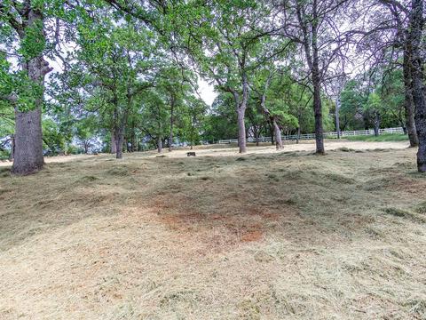 1200 Arrowbee Dr, Placerville, CA 95667 photo 35