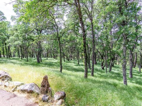 1200 Arrowbee Dr, Placerville, CA 95667 photo 29