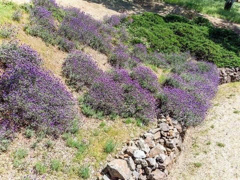 1200 Arrowbee Dr, Placerville, CA 95667 photo 27