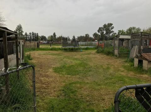 716 Elverta Rd, Elverta, CA 95626 photo 4