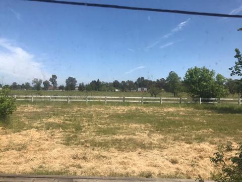10153 Collings Rd, Wilton, CA 95693 photo 22
