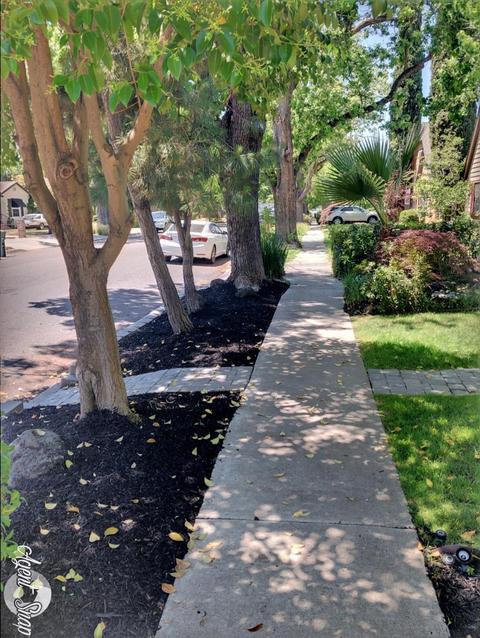 137 Frances Ave, Modesto, CA 95354 photo 5