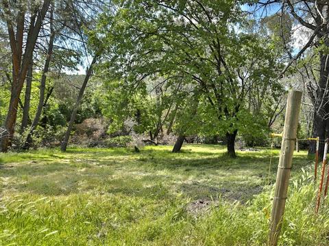 6065 Silver Ridge Ln, Placerville, CA 95667 photo 29