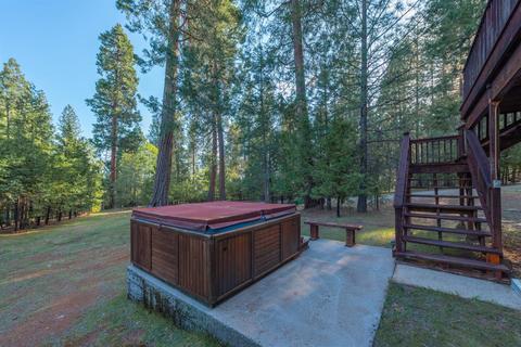 25672 Overland Dr, Volcano, CA 95689 photo 48
