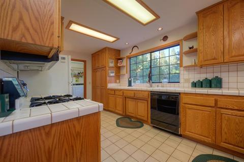 25672 Overland Dr, Volcano, CA 95689 photo 9
