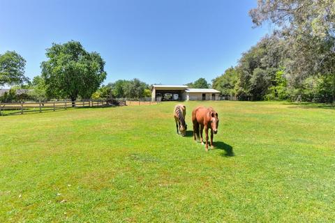 9199 King Rd, Loomis, CA 95650 photo 14