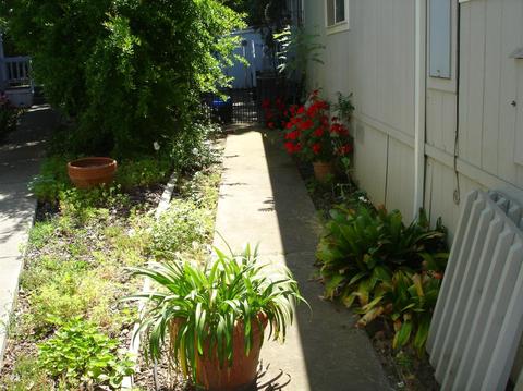 168 Inner Cir, Davis, CA 95618 photo 33