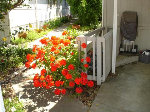 168 Inner Cir, Davis, CA 95618 photo 32