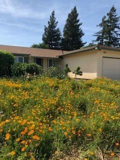 645 N Almond St, Dixon, CA 95620 photo 1