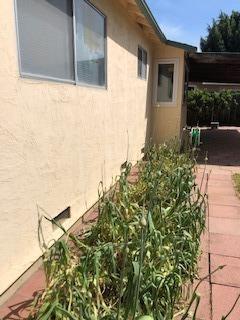 645 N Almond St, Dixon, CA 95620 photo 28