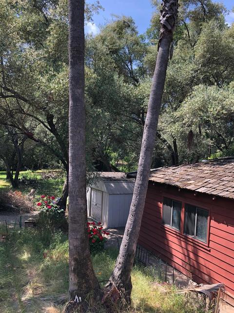 2721 Sierra View Trl, Carmichael, CA 95608 photo 25