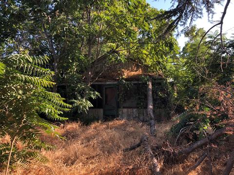 18606 Crows Landing Rd, Crows Landing, CA 95313 photo 3