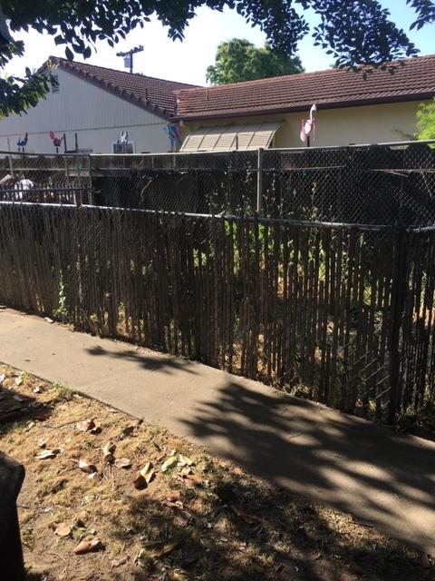 234 Raylow Ave, Manteca, CA 95336 photo 35