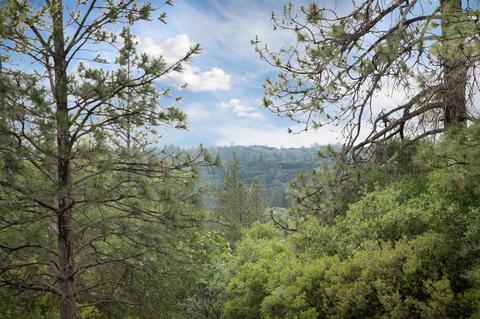 11776 Empty Diggins Ln, Rough And Ready, CA 95975 photo 40