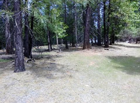 25862 Shake Ridge Rd, Volcano, CA 95689 photo 1
