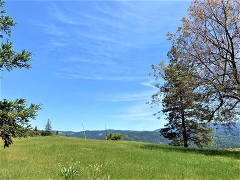 3869 Bald Mountain Rd, West Point, CA 95255 photo 10