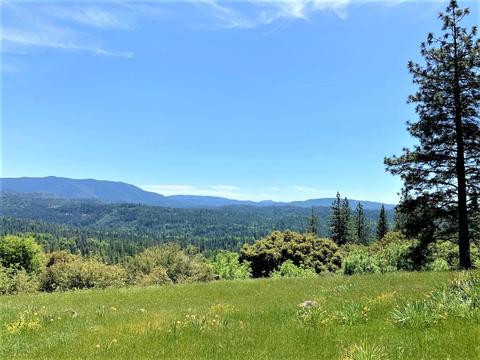 3869 Bald Mountain Rd, West Point, CA 95255 photo 8