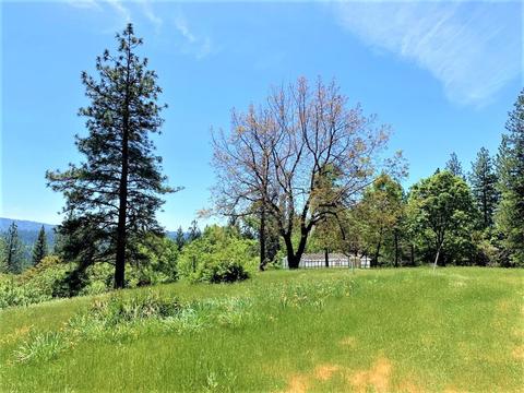3869 Bald Mountain Rd, West Point, CA 95255 photo 28