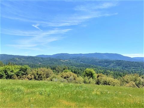 3869 Bald Mountain Rd, West Point, CA 95255 photo 6