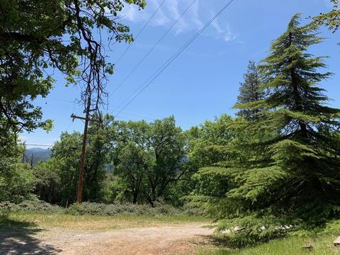 3869 Bald Mountain Rd, West Point, CA 95255 photo 31