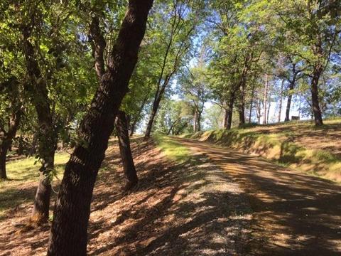 5000 Del Haven Rd, Placerville, CA 95667 photo 24