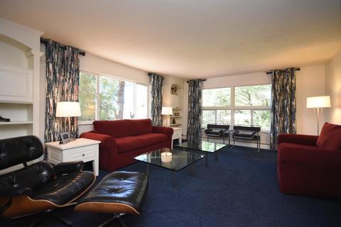 5000 Del Haven Rd, Placerville, CA 95667 photo 19