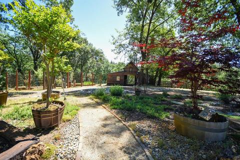 5000 Del Haven Rd, Placerville, CA 95667 photo 29