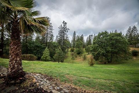 6850 Shoo Fly Rd, Placerville, CA 95667 photo 6