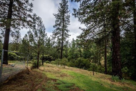6850 Shoo Fly Rd, Placerville, CA 95667 photo 7