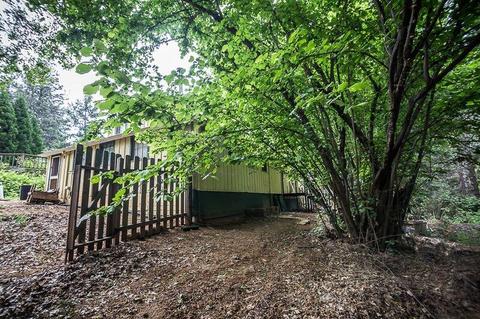 3091 Marshall Rd, Georgetown, CA 95634 photo 21