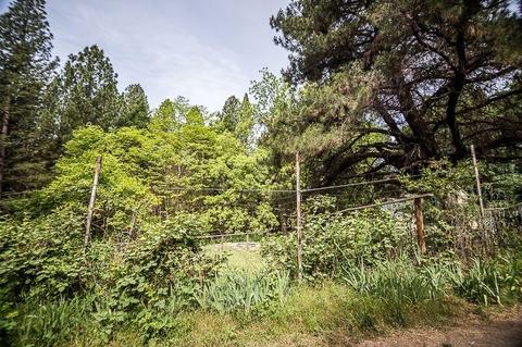 3091 Marshall Rd, Georgetown, CA 95634 photo 29