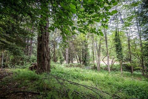 3091 Marshall Rd, Georgetown, CA 95634 photo 23