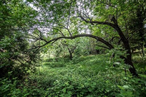 3091 Marshall Rd, Georgetown, CA 95634 photo 35