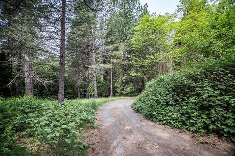 3091 Marshall Rd, Georgetown, CA 95634 photo 31