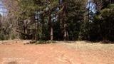 17125 Villa Ln, Dobbins, CA 95935 photo 43