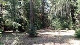 17125 Villa Ln, Dobbins, CA 95935 photo 42