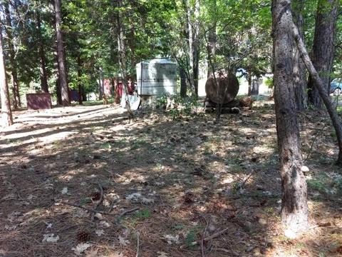 17125 Villa Ln, Dobbins, CA 95935 photo 29